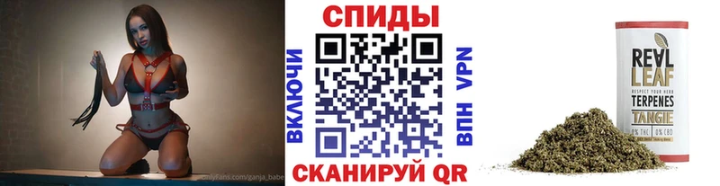Купить закладки  Щёлково  БУТИРАТ BDO 33% 