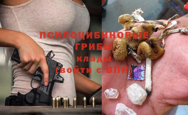 бошки Магас