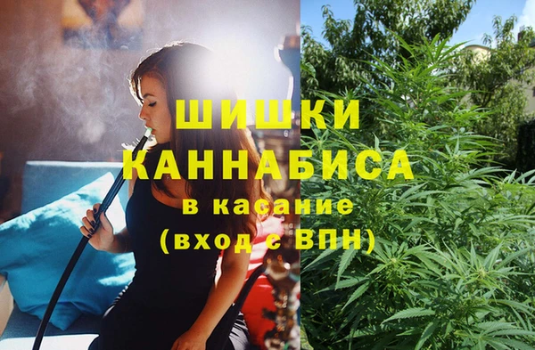 бошки Магас